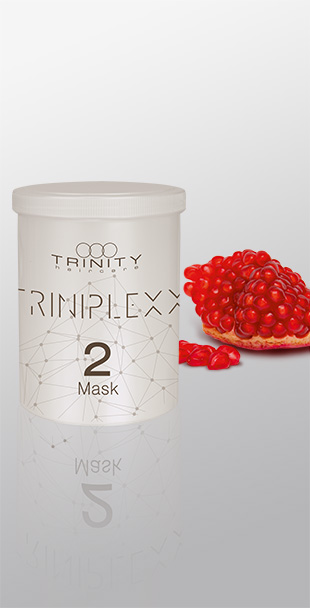 TRINIPLEXX, Triniplexx